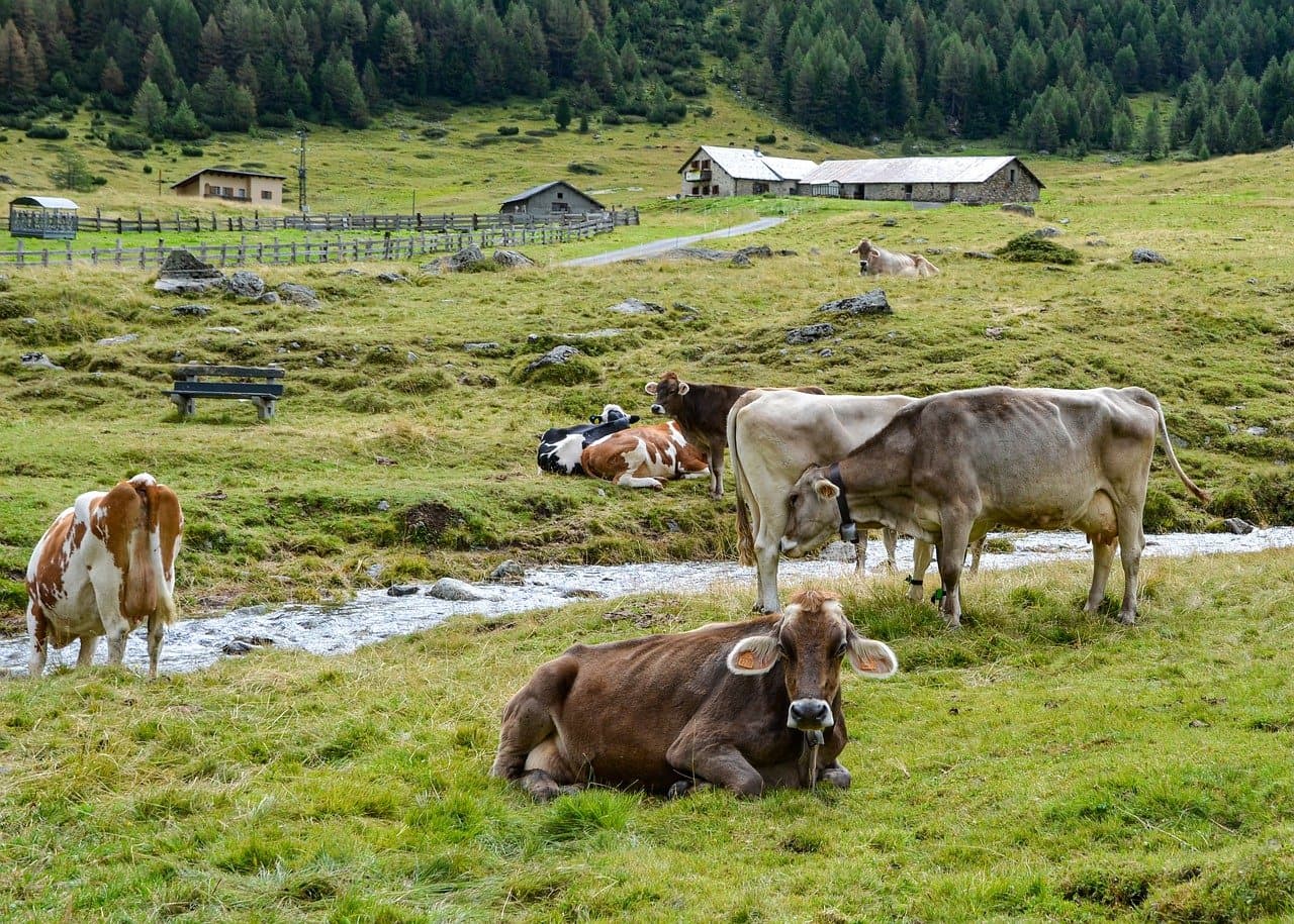 Our farming practices